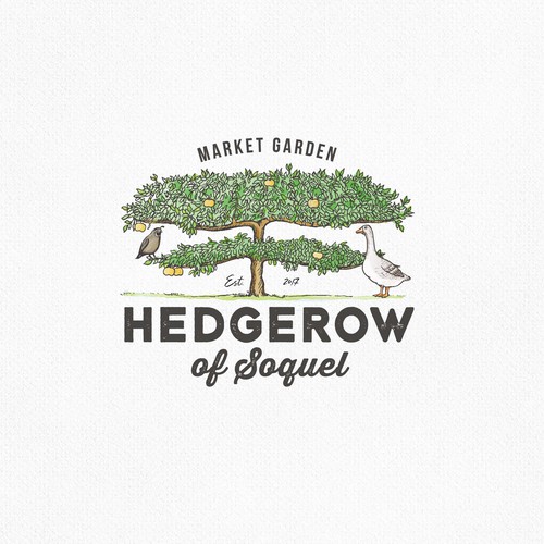 Goat farm logo with the title 'Hedgerow of soquel'
