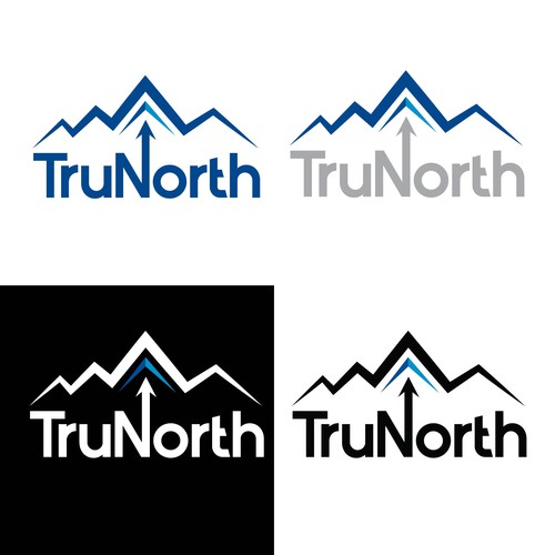 Success logo with the title 'Logo for SaaS platform for sales.'