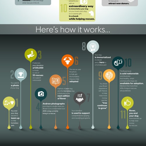 Complex design with the title 'Rover Infographic'