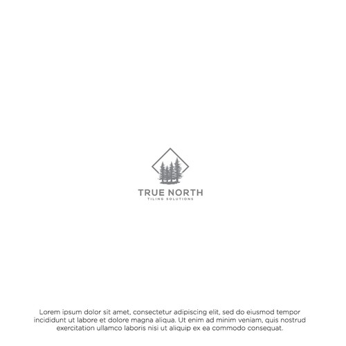 Installation design with the title 'True North Tiling Solutions Logo'