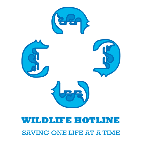 Support logo with the title 'WildLife Hotline'