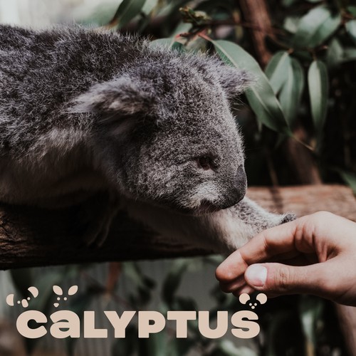 Kangaroo design with the title 'calyptus'