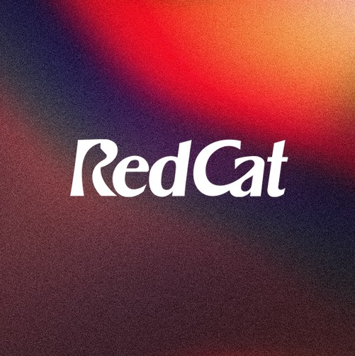 Negative space logo with the title 'Wordmark Logo'