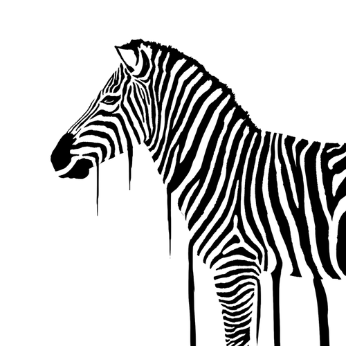 Black and white illustration with the title 'Splash Out Zebra'