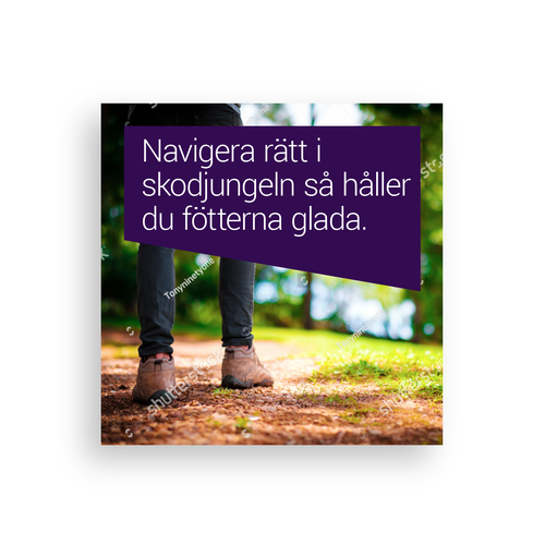 Newsletter design with the title 'Newsletter'