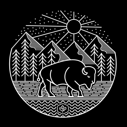 Adventure t-shirt with the title 'Bison Canadian'