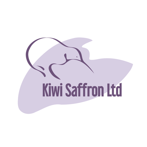 Kiwi logo with the title 'Spice retailer logo'