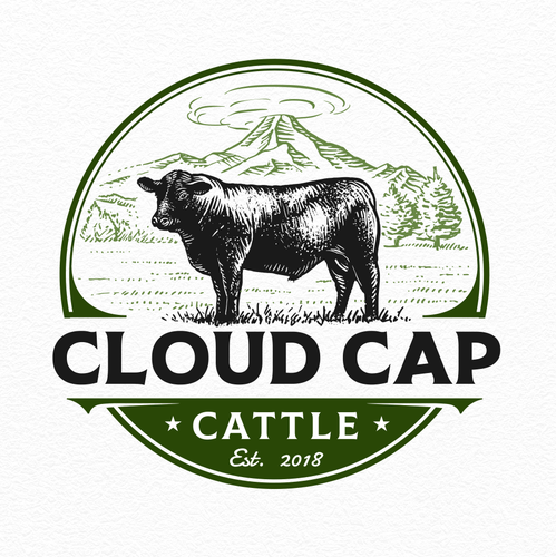 Angus logo with the title 'Cloud Cap Cattle'