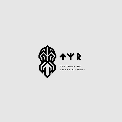 Viking ship logo with the title 'TYR'