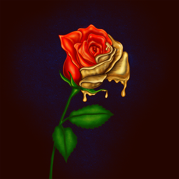 Rose illustration with the title 'Album Cover'