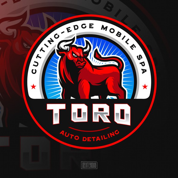 Auto detailing logo with the title 'Toro Auto Detailing'