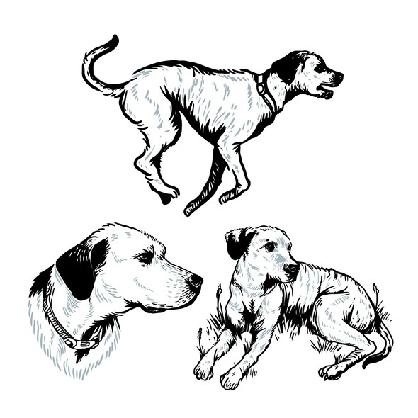 Canine design with the title 'Trooper'