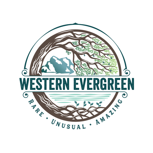 evergreen tree logo