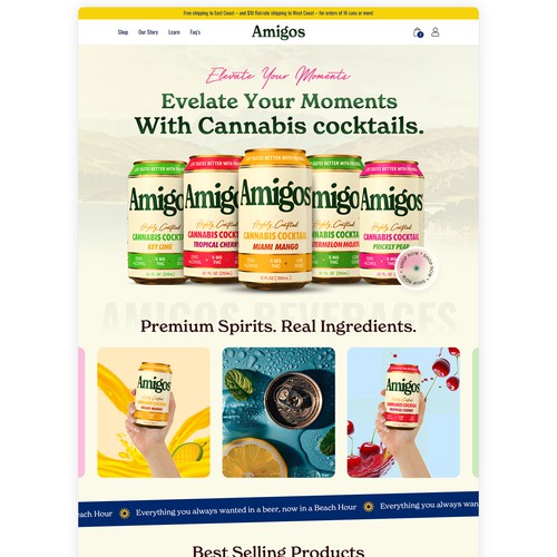 Beer website with the title 'Amigos'