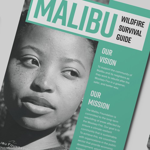 Survival design with the title 'Survival guide'