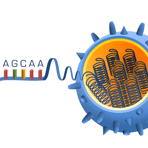 Science artwork with the title 'Illustration of the flu virus for scientific research'