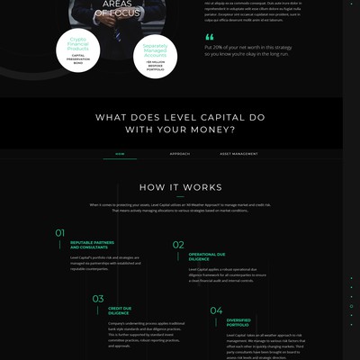Dark Theme Website Design for Level Capital