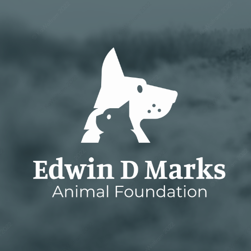 Adoption logo with the title 'logo for non-profit organization educating pet owners'