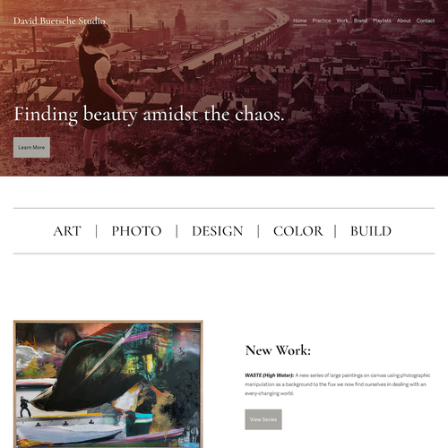 Ecommerce design with the title 'David Buetsche Studio Ecommerce'