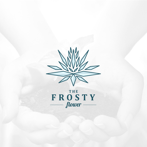 Ice design with the title 'the frosty flower'
