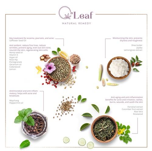 Purple and green design with the title 'Infographics for O'leaf'
