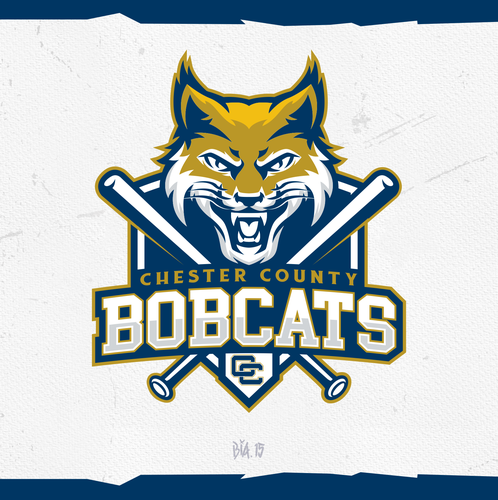 Bobcat logo with the title 'Bobcat baseball logo for youth travel team'