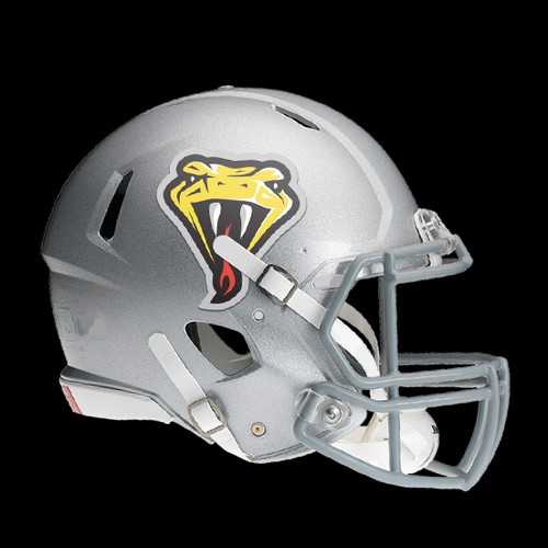 Viper logo with the title 'Dubai Football Team Logo'