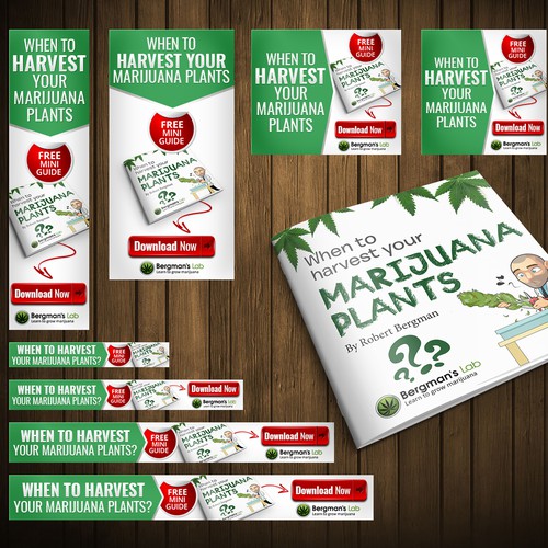 Google Ads design with the title 'Banner Ad Design for a mini-guide on harvesting'