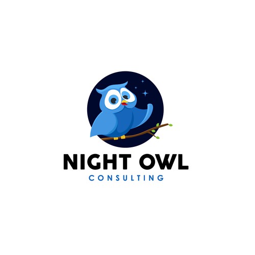Adorable design with the title 'Night Owl Consulting'