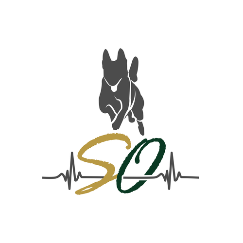 Blood pressure logo with the title 'SO'