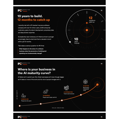 PE Perspectives — AI & Software Economics