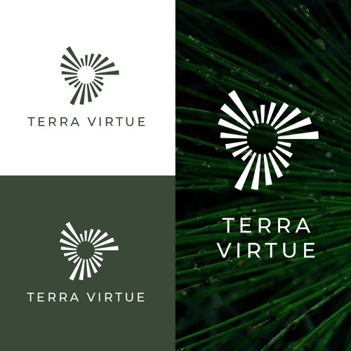 Holistic logo with the title 'Holistic CBD power'