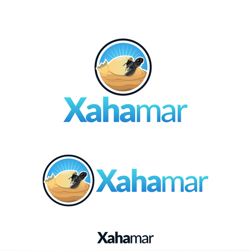 Tortoise logo with the title 'Baby Turtle'