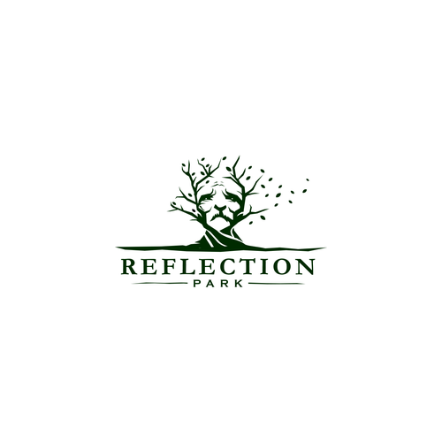 Reflection design with the title 'Reflection Park'