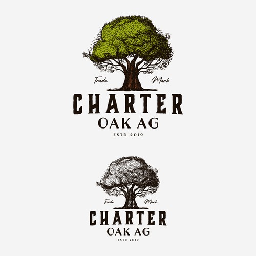 Oak tree design with the title 'Logo Concept for Charter Oak Ag'