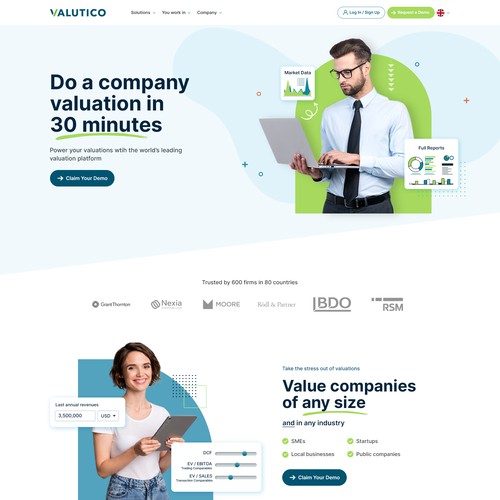 Fun website with the title 'Website for a Valuation software'