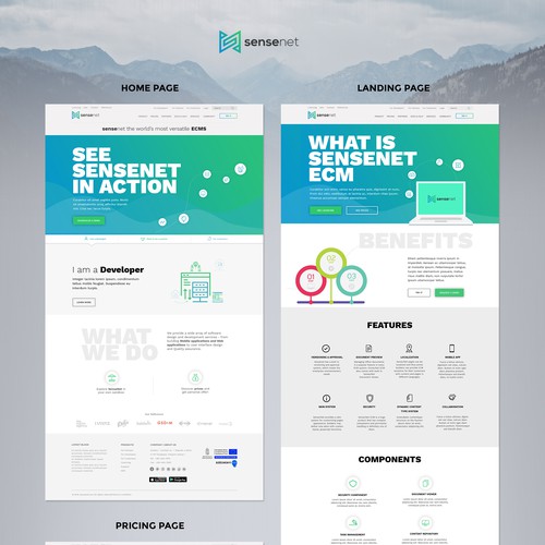 Business website with the title 'Infograpic site '