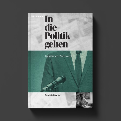 Grid design with the title 'The Politics Game'