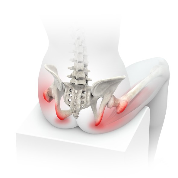 Anatomy artwork with the title '3d Medical Illustration'