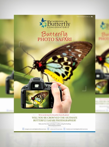 Safari design with the title 'We need a fun and engaging poster for Butterfly Photo Safari!'