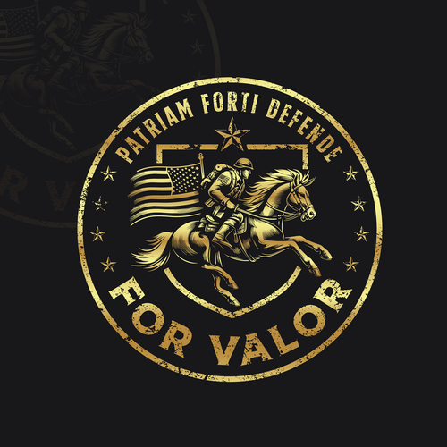 Soldier logo with the title 'FOR VALOR'