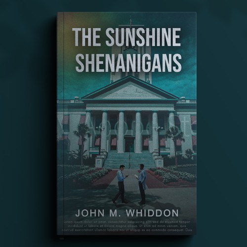 Attractive book cover with the title 'The Sunshine Shenanigans'