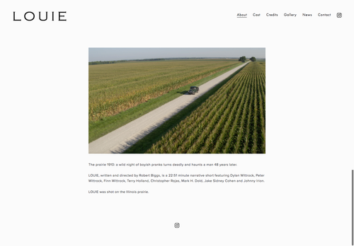 Marketing website with the title 'Website for a movie: Louie'