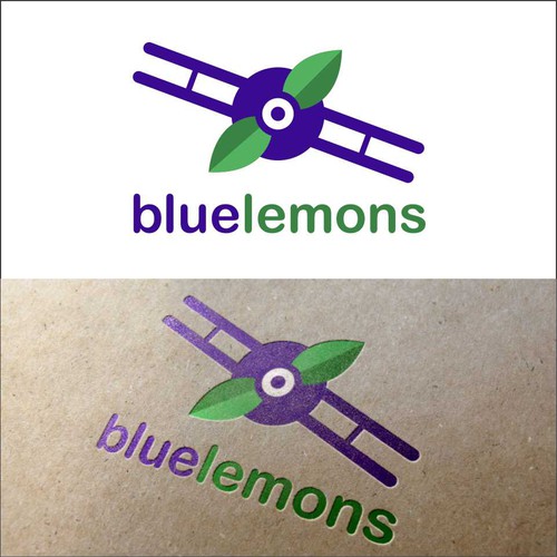 Blueberry logo with the title 'bluelemons'
