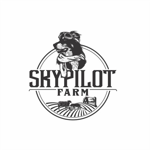 Pilot logo with the title 'Hand drawn logo for farm'
