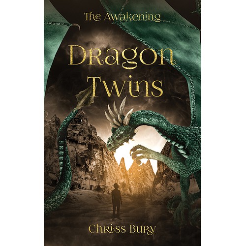 Amazon book cover with the title 'Dragon Twins'