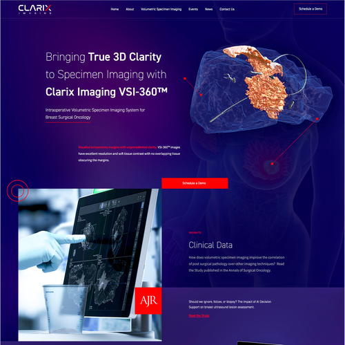 Research design with the title 'Clarix Imaging Homepage Design Exploration'
