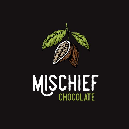 Chocolate brand with the title 'Identity concept for the craft chocolate'