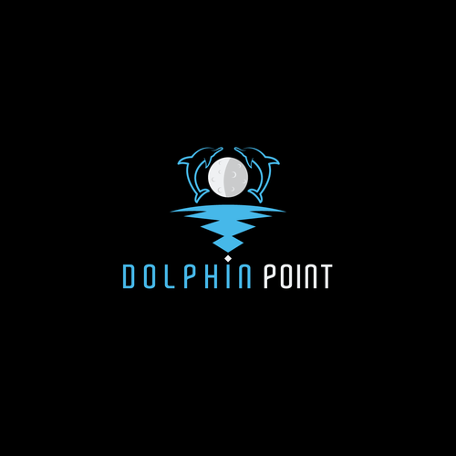 Dolphin design with the title 'Dolphin Point Logo Concept'