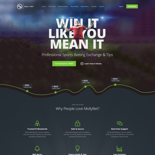 UX/UI website with the title 'Web Design for Molly Bet'